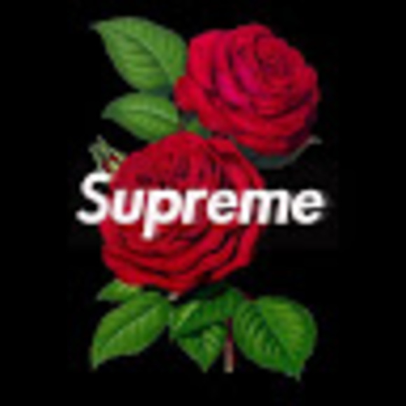 riseeclipz